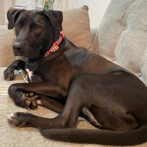 Meet your Posher, Kimberly d.